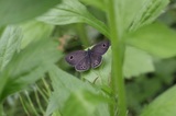 160503_09.jpg