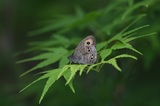 160503_28.jpg