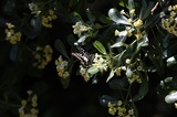 160505_05.jpg
