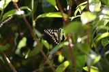 160505_12.jpg