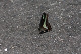 160505_24.jpg
