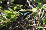 160505_30.jpg