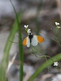 160515_076.jpg