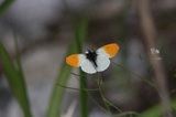160515_081.jpg