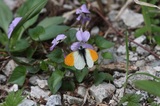 160515_110.jpg