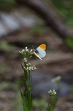 160521_06t.jpg