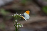 160521_06y.jpg