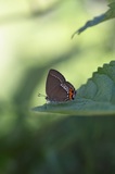 160529_11.jpg