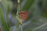 160604_16.jpg