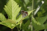 160618_069.jpg