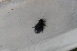 160623_070627_152923.jpg