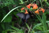 160623_110708_163831.jpg