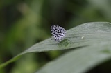 160625_03.jpg