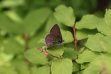 160626_118.jpg
