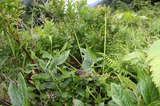 160626_19.jpg