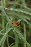 160730_075.jpg