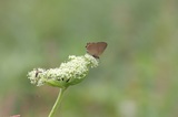 160806_118.jpg