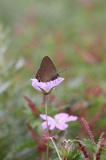 160806_29.jpg