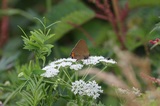 160806_30.jpg