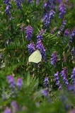 160806_95.jpg