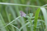 160918_034.jpg