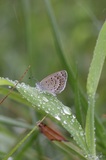 160918_163.jpg