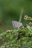 160918_226.jpg