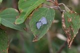 161001_27.jpg