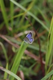 161001_36.jpg