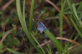 161001_41.jpg