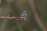 161001_64.jpg