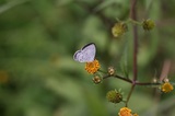 161022_30.jpg