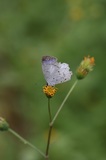 161022_36.jpg