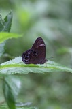 161226-160716-02.jpg