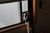170408_58.jpg