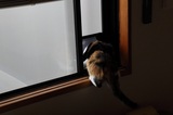 170408_60.jpg