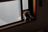 170408_61.jpg