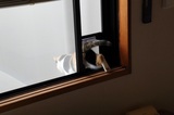 170408_62.jpg