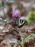 170422_42.jpg