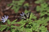 170503_019.jpg