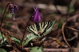 170504_040.jpg