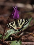 170504_040s.jpg