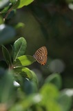 170527_35.jpg