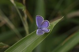 170615_17.jpg