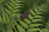 170617_04.jpg