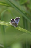 170624_253.jpg