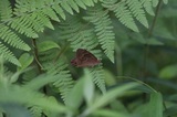 170702_02.jpg