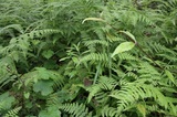 170702_30.jpg