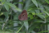 170706_14.jpg