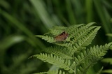 170716_048.jpg